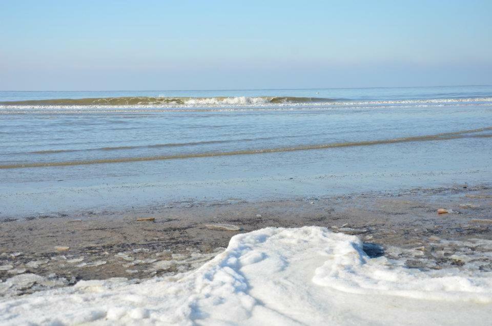 Pension 'T Hofje 350 Meter Van Het Strand 노르트베이크 외부 사진